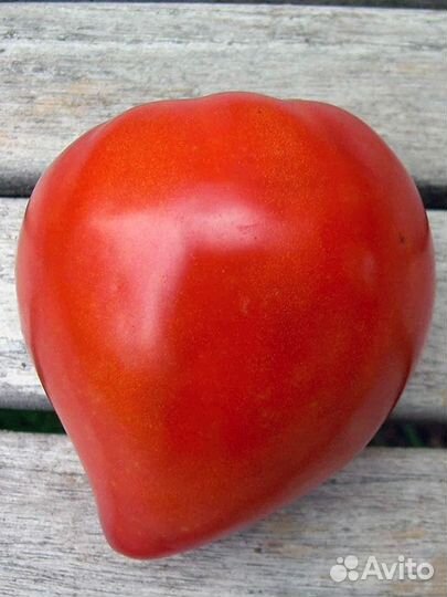 Семена Бычье сердце