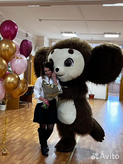 Белый мишка и Чебурашка экспресс поздравление