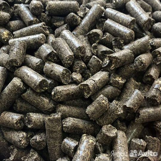 Пшеница, шрот, овес зерновые культуры