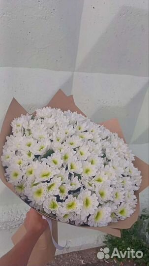 Хризантема кустовая Букет, корзина, декор Доставка