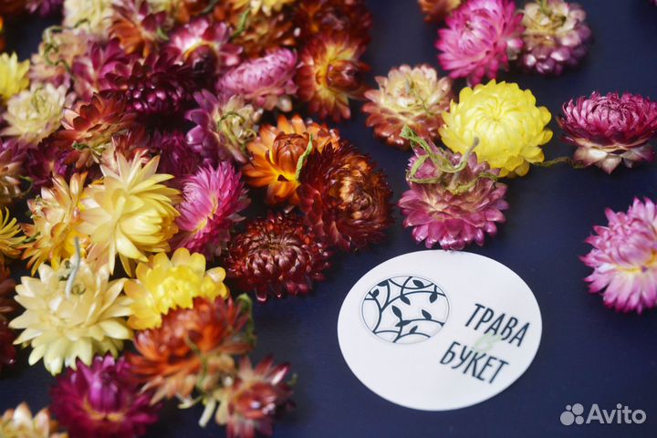 Сухоцветы, гелихризум, ковыль овес, пампас, пальма