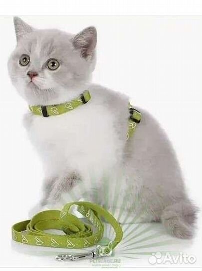 Шлейка для кошки