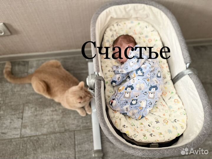 Шезлонг mothercare