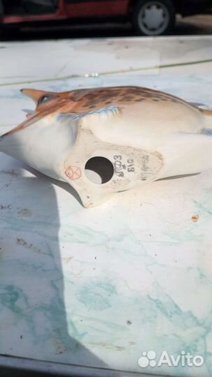 Рыбка коровка лфз