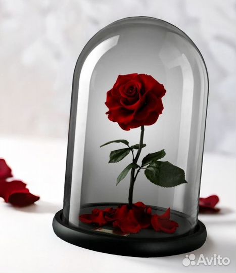 Стабилизированная Роза в колбе. Корзина с розами