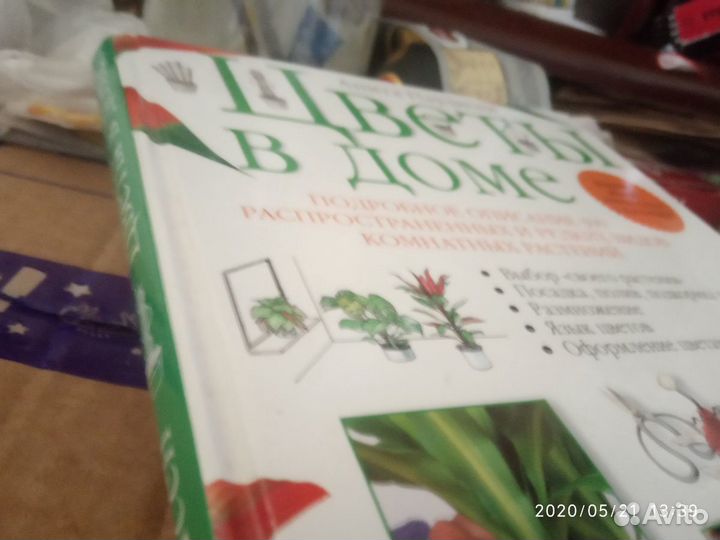 Цветы в доме