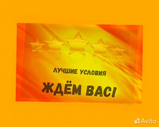 Маркировщик Еженедельный аванс М/Ж Спецодежда