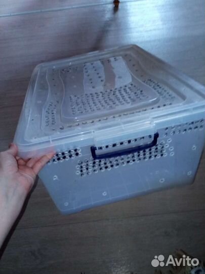 Контейнеры для рептилий