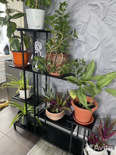 Полка для цветов