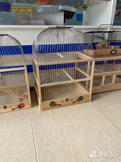 Попугай и аксесуары