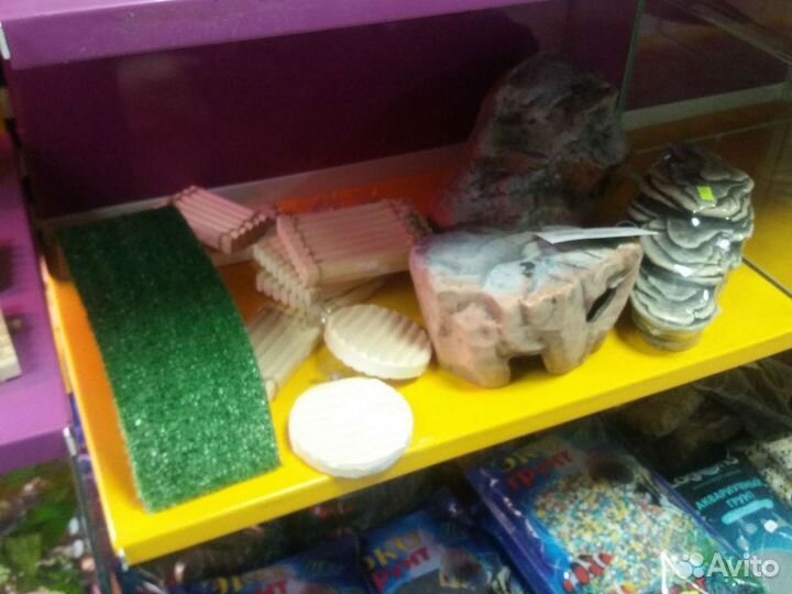Аквариум для черепах