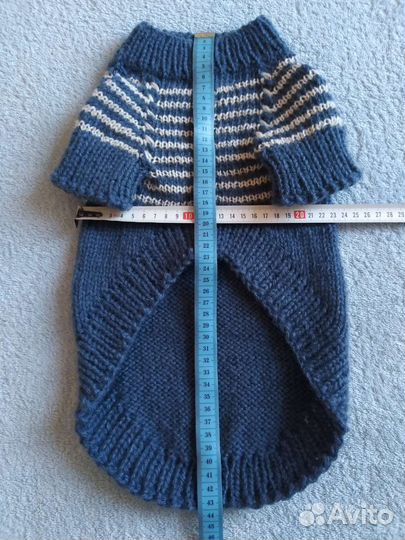 Одежда для собак