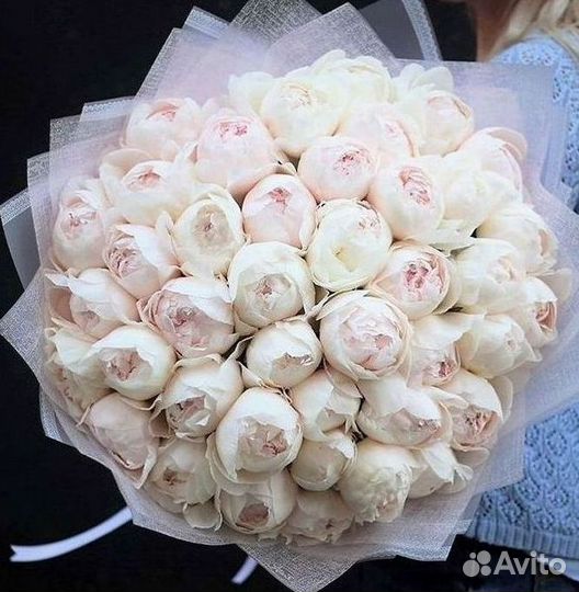 Пионы Букет пионов