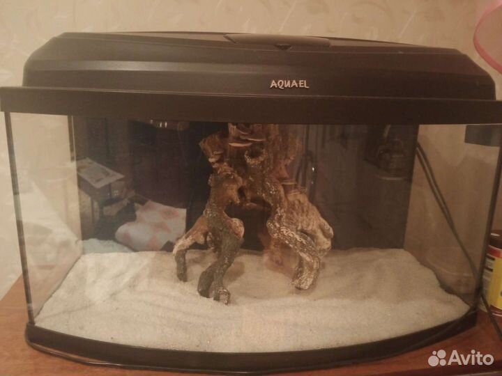 Аквариум
