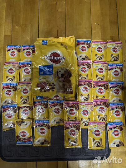 Новый корм для собак pedigree сухой