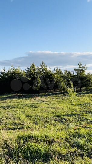 Участок 20,1 сот. (ИЖС)