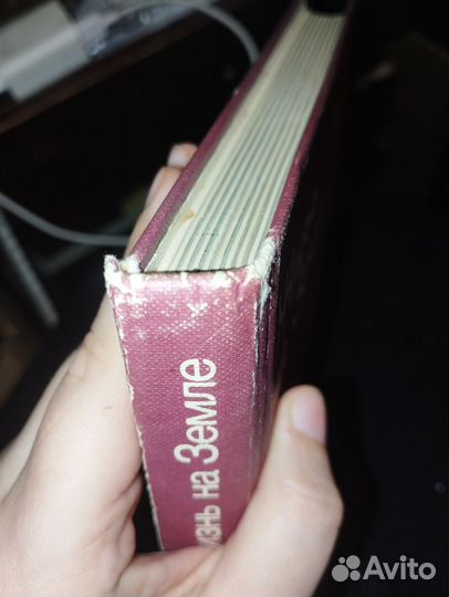 Жизнь на земле дэвид эттенборо 1984