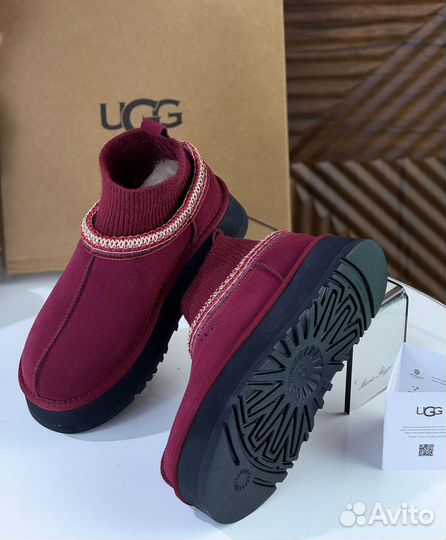 Ugg tazz tasman с носком