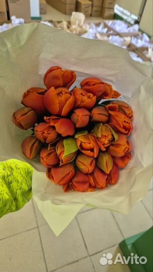 Тюльпаны к 8 марта оптом