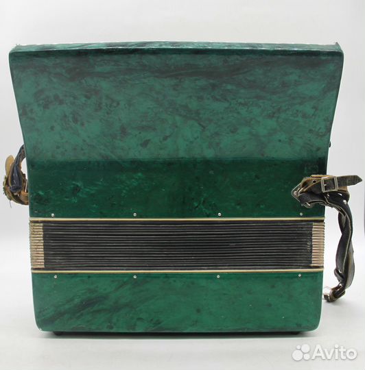 Аккордеон Берёзка 2