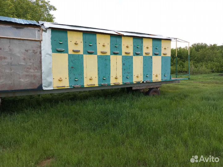 Павильон для пчел