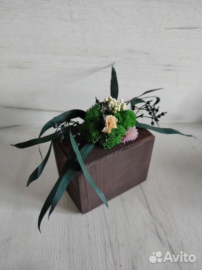 Кашпо со стабилизированным мхом