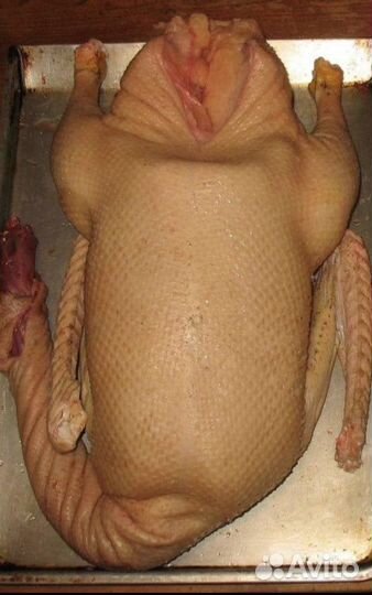 Продам мясо утки