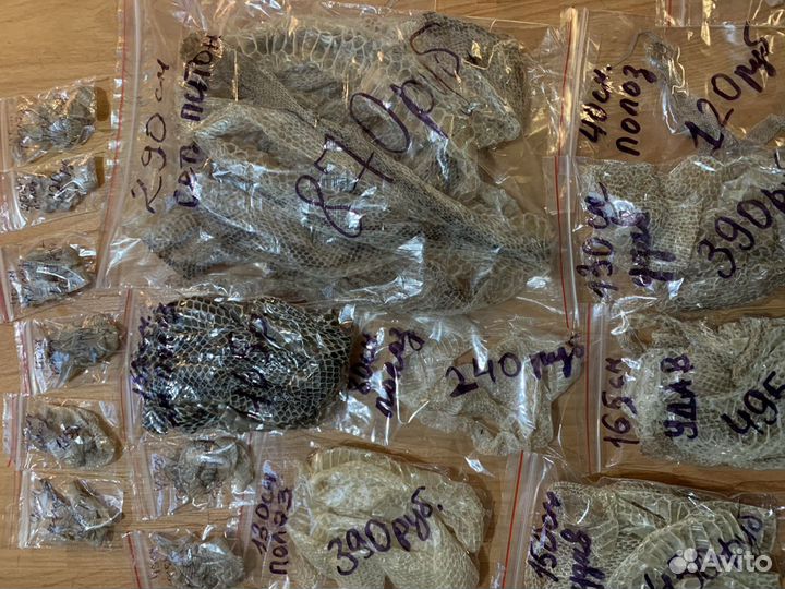 Змеиный выползок, шкура змеи(см.описание)