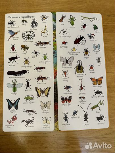 Незнайка тьерри лаваль жукова букварь