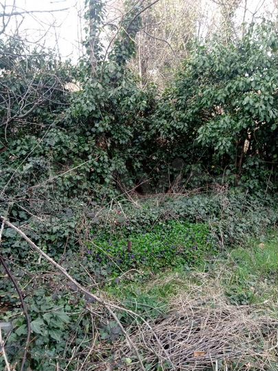 Участок 3,3 сот. (ИЖС)