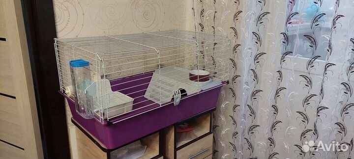 Клетка для декоративного кролика