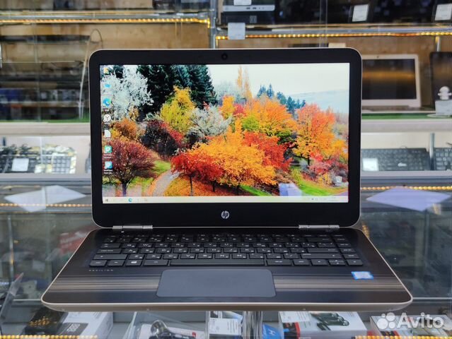 Золотой ноутбук HP 14" IPS FullHD i3/6Gb/128Gb купить в Смоленске ...
