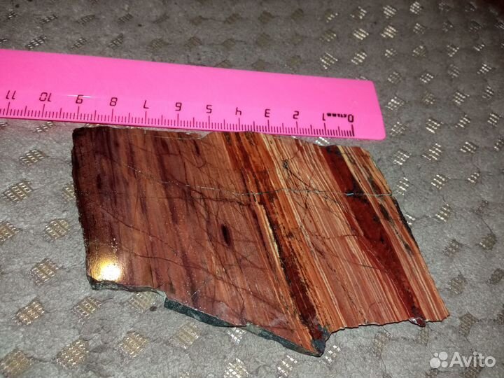 Слайс окаменелого дерева