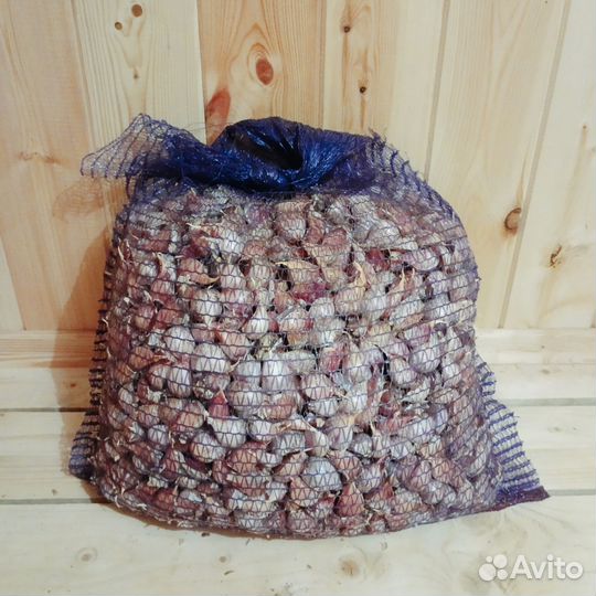 Озимый чеснок на посадку