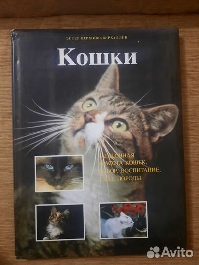 Книга о кошках