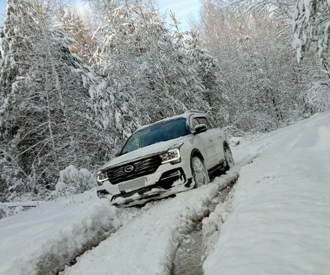 GAC GS8: фото владельца