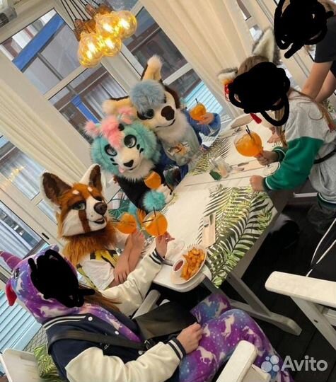 Фурсьют фулл красной панды/Фурри