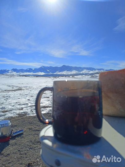 Аренда минивэна с водителем, автомобиль на свадьбу