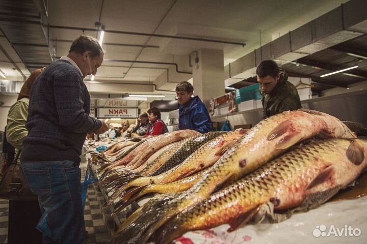 В продаже магазин свежей рыбы плавник