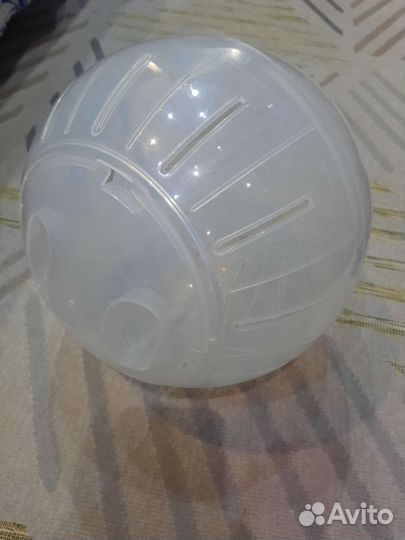 Прогулочный шар для грызунов