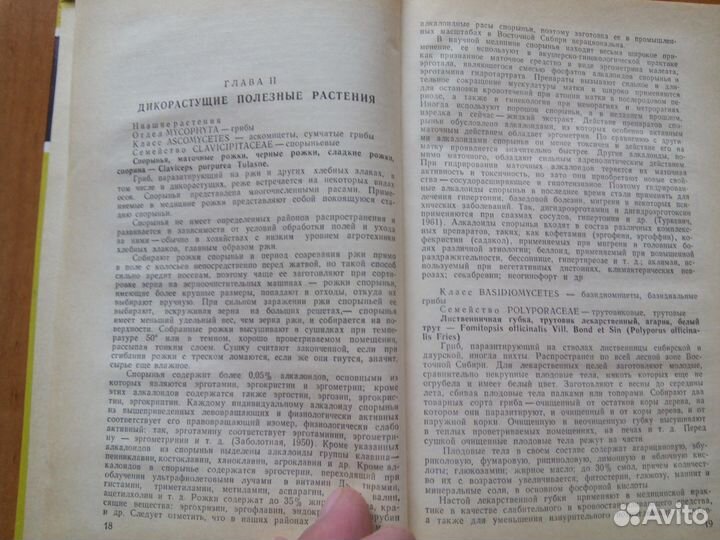 Полезные Растения Сибири