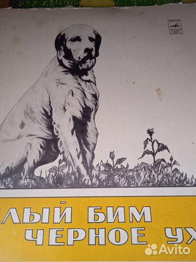 Виниловые грампластинки