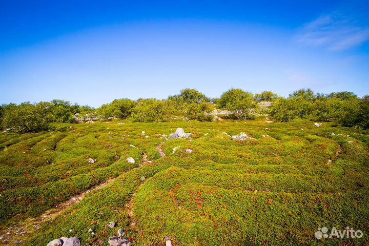 2 дня на Соловках (Соловецкие острова)