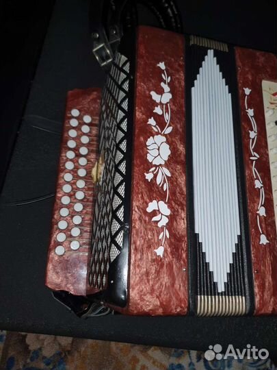 Гармонь чайка