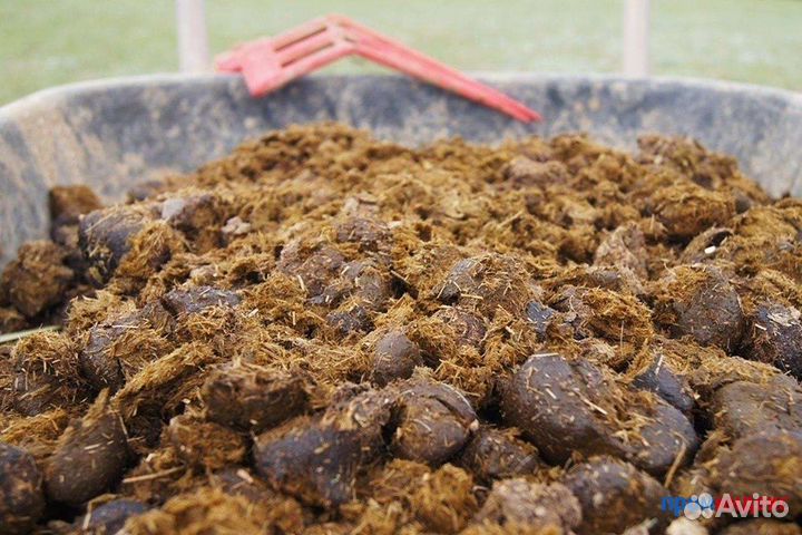 Навоз конский в мешках