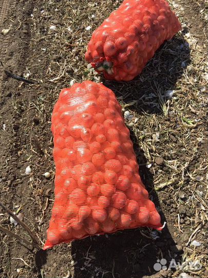 Лук на перо Стардаст