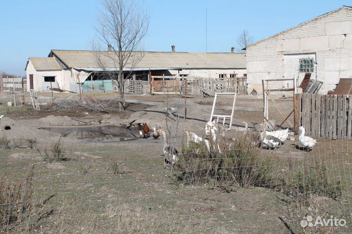 Действующая ферма