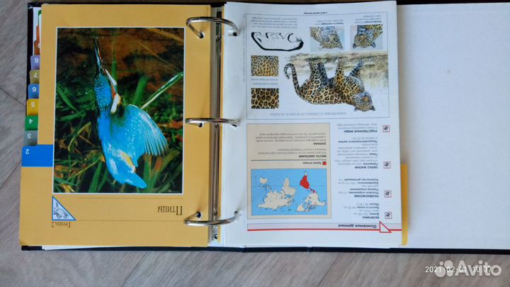 Энциклопедия 