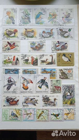 Альбом с марками СССР