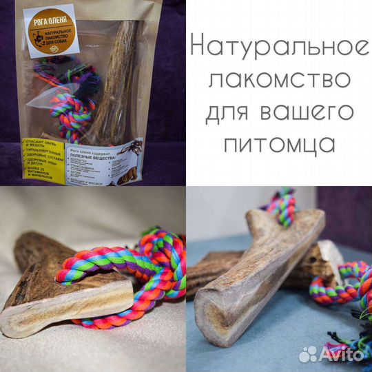 Корм для собак (лакомство)